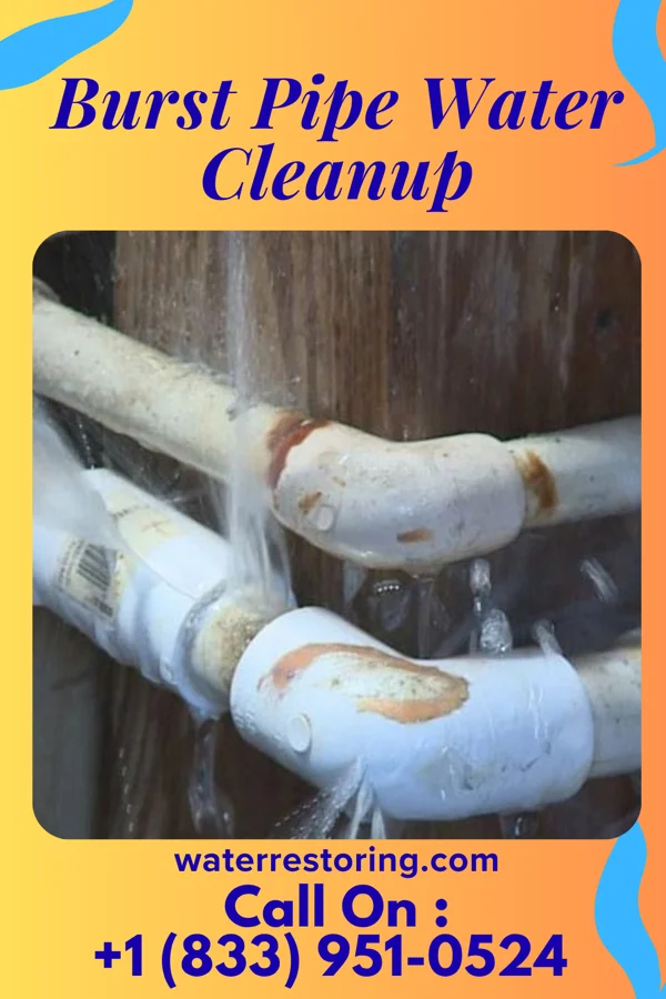 Burst Pipe Water Cleanup in Wolverine Lake, MI