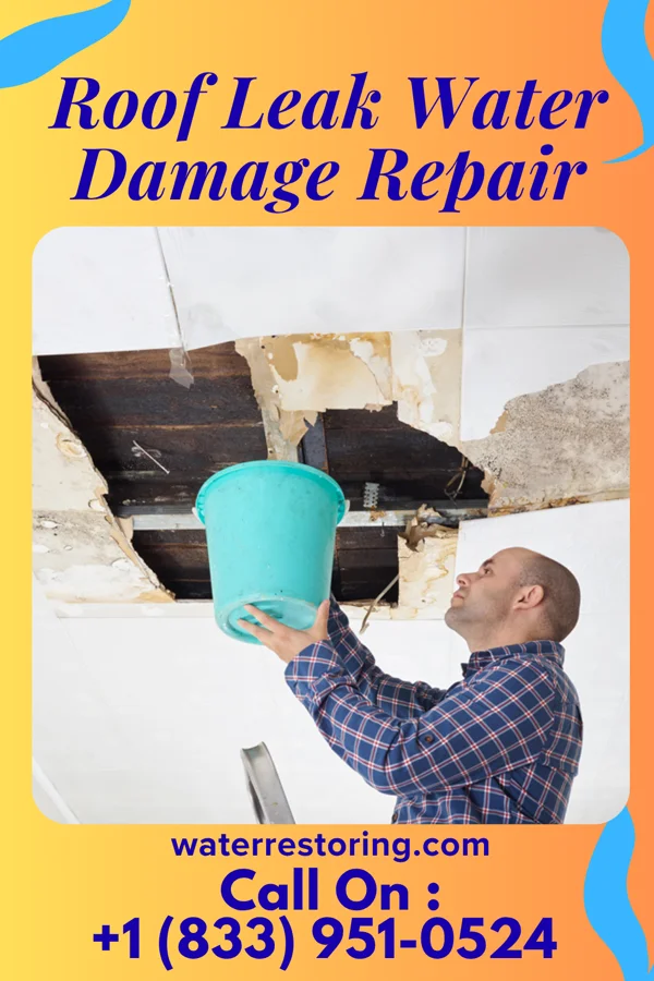 Roof Leak Water Damage Repair in Wolverine Lake, MI